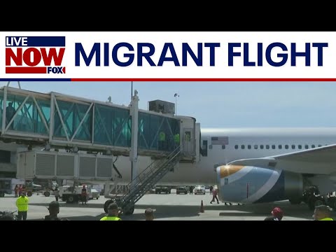 WATCH: US deportation flight carrying migrants lands in Venezuela