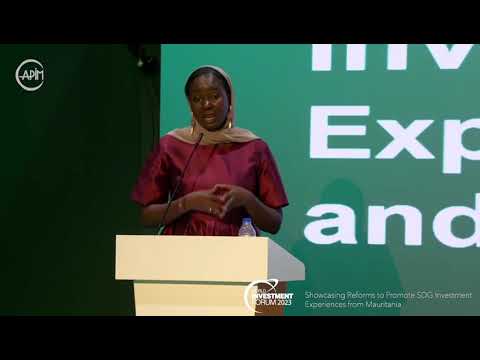 Driving Economic Transformation: Mauritania&#039;s Shift from Extractive Industries to Diversified Growth