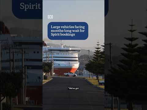 Large vehicles facing months-long wait for Spirit of Tas bookings | ABC News