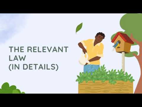 LB395 International Environmental Law Presentation