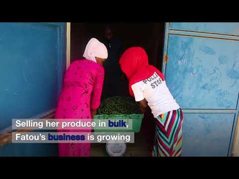 Gambia: Young female entrepreneurs