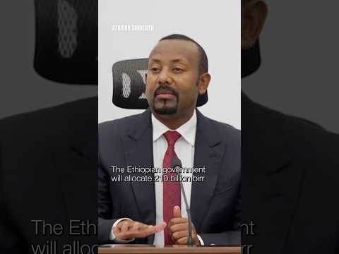 Ethiopian gov’t to allocate ETB 210 billion in subsidies amid reforms: who will be affected?