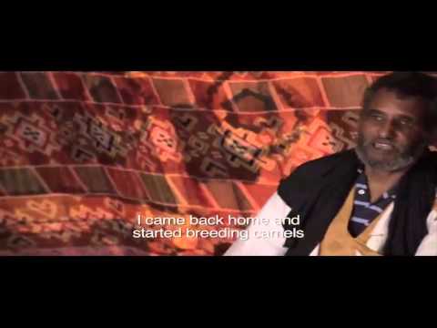 Exploring the multiplier effect of Mauritania&#039;s only gold mine