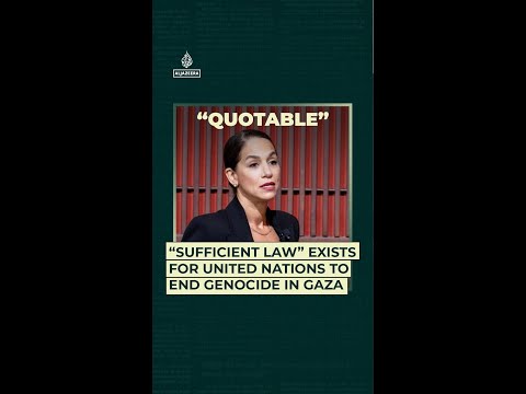 “Sufficient law” exists for United Nations to end genocide in Gaza