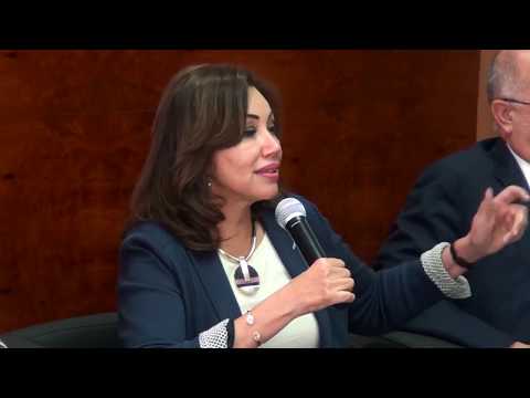 Real Estate Tax Dilemma in Egypt: Economic and Social Analysis - Part 1/5