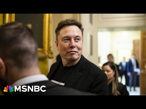 ‘Can the world’s richest man buy our democracy?’: Wisconsin Dem leader slams Musk’s payout tactics