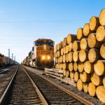 Why Louisiana-Pacific’s Latest Quarter Could Signal a Bullish Future for Investors