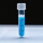 BioMarin’s Financial Leap: Can the Biotech Giant Sustain Its Meteoric Rise?