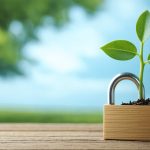 Unlocking Retirement Bliss: Vanguard’s Prime Picks for the Golden Years