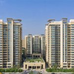 How Cairo Housing and Development Leveraged a 539% Profit Surge to Transform Its Fortune