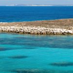 The Obscure Wealth Magnet: Navigating Cyprus’s Non-Domicile Tax Regime