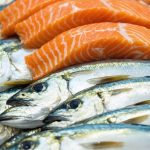 The Secret World of Fish Tax in Japan: What You Didn’t Know About Seafood’s Hidden Cost