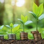 <b>How Costa Rica’s Financial Regulations Are Shaping a Thriving Green Economy</b>