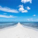 Unraveling Transfer Pricing: How a Tiny Island Nation Navigates the Global Market