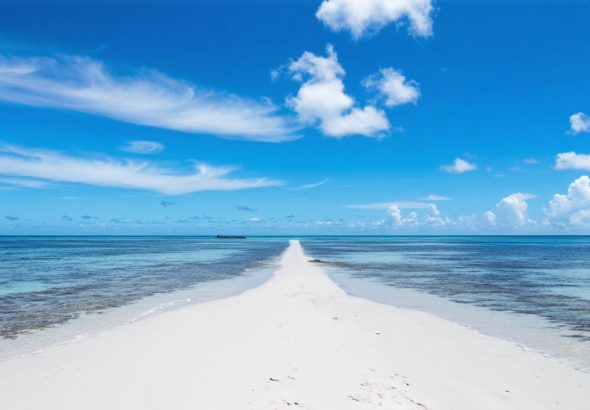 Unraveling Transfer Pricing: How a Tiny Island Nation Navigates the Global Market