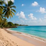Why 2025 Is the Best Time to Invest in Barbados: Hidden Growth Unveiled